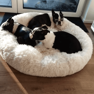 kuscheliges hundebett "wolke 7" das original