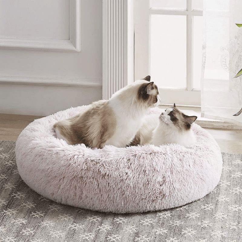 Wolke7 Katzenbett Haustierstolz 5 kuscheliges katzenbett "wolke 7" das original