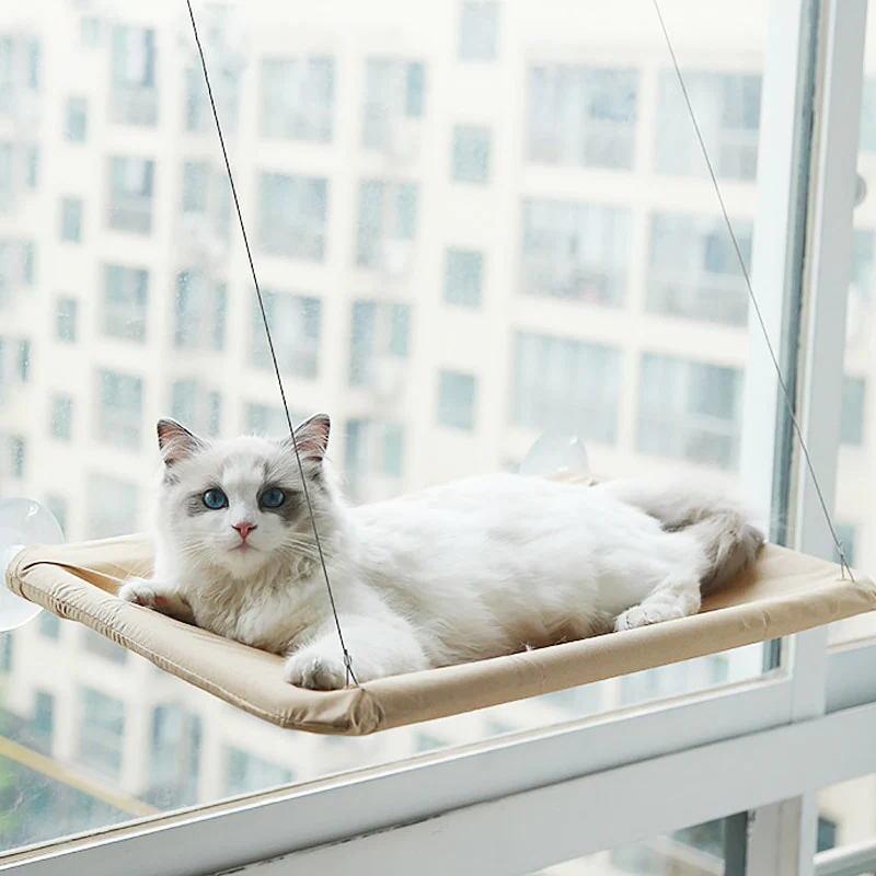 Haengematte fuer Katzen 3 katzen hängematte