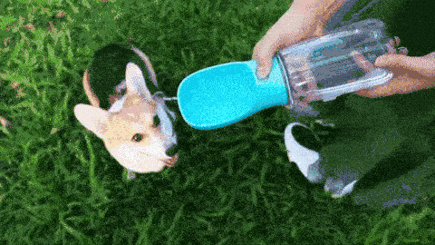 Hunde Trinkflasche 2 hunde trinkflasche