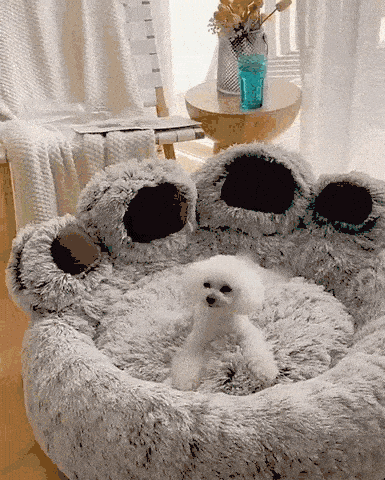 kuscheliges hundebett pfote