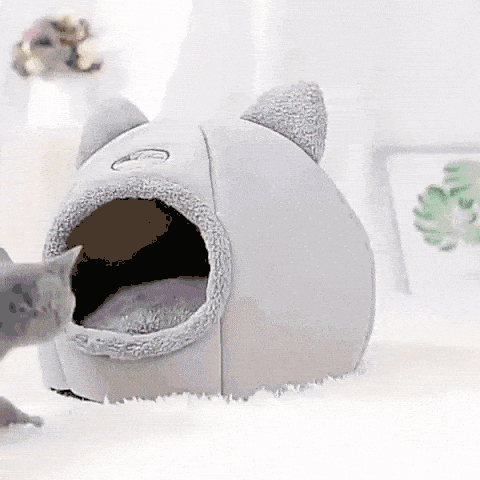 kuschelige katzenhöhle deepsleep