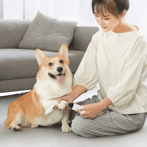 pfotenpro® v.3 krallen pflegegerät