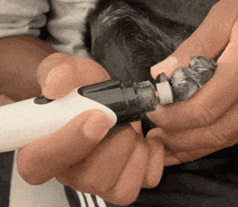 pfotenpro® v.3 krallen pflegegerät