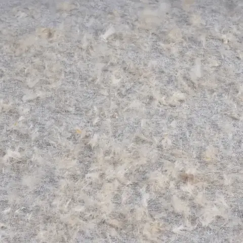 magischer tierhaarroller für möbel & teppiche