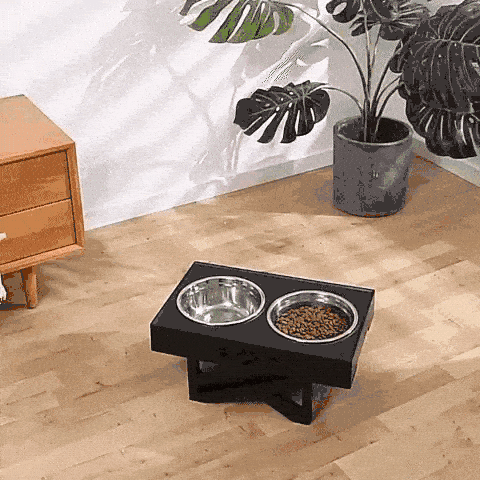 Orthopaedischer erhoehter Futternapf orthopädisch erhöhter futternapf