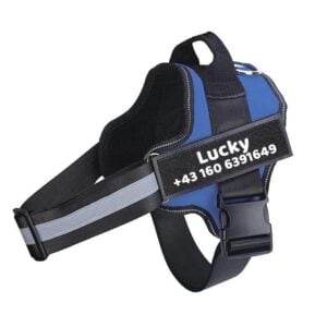 personalisiertes anti zug hundegeschirr (1)