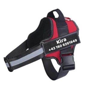 personalisiertes anti zug hundegeschirr (3)