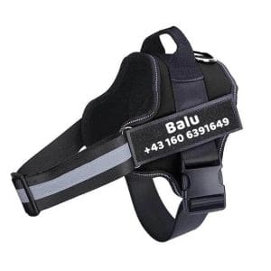 personalisiertes anti zug hundegeschirr (4)