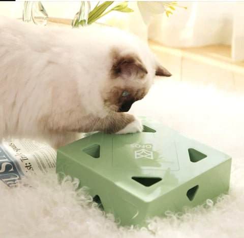 SpassBox Das interaktive Katzenspielzeug 1 spaßbox® das interaktive katzenspielzeug