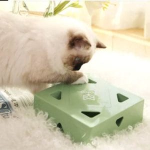 spaßbox® das interaktive katzenspielzeug