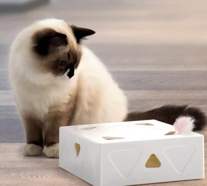 SpassBox Das interaktive Katzenspielzeug 2 spaßbox® das interaktive katzenspielzeug