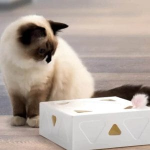 spaßbox® das interaktive katzenspielzeug