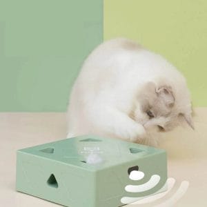 spaßbox® das interaktive katzenspielzeug