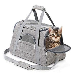 transporttasche für katzen