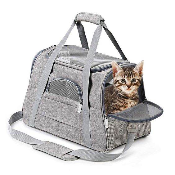 Transporttasche fuer Katzen 2 transporttasche für katzen
