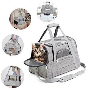 transporttasche für katzen