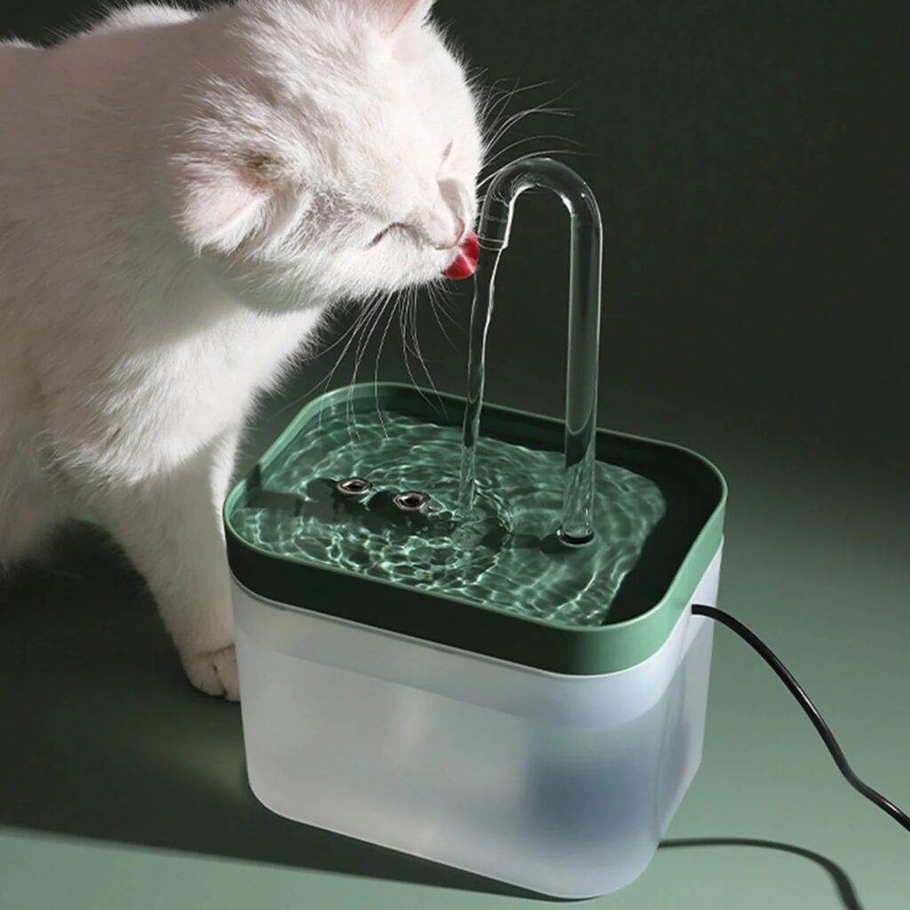 Trinkbrunnen mit Waterflow Filter fuer Katzen 2 katzenbrunnen mit waterflow filter