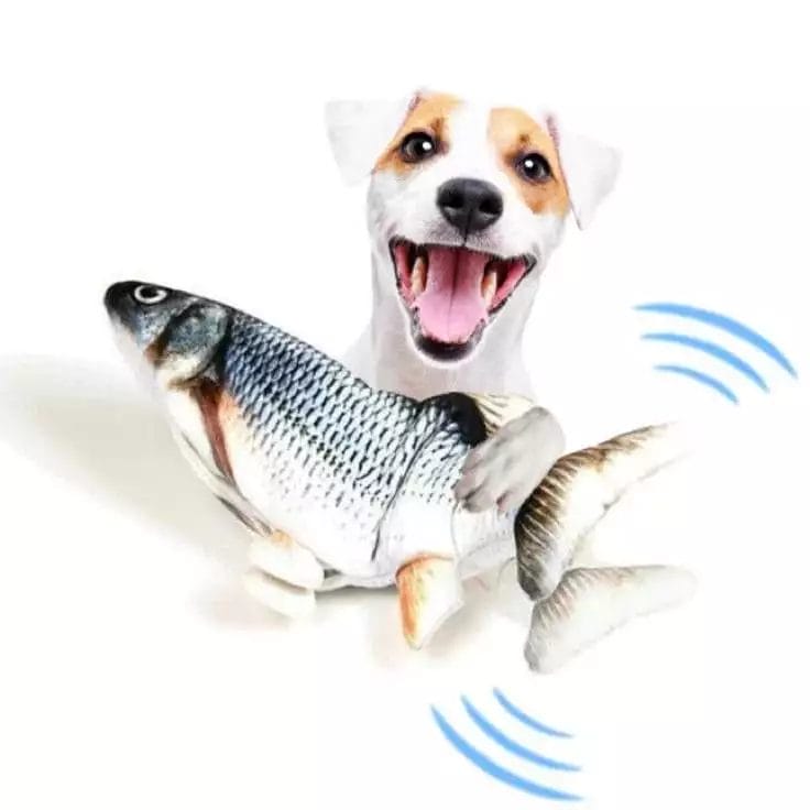 Zappel Fisch 1 zappel fisch interaktives hundespielzeug