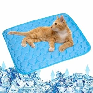 Kühlmatte für Katzen - Premium