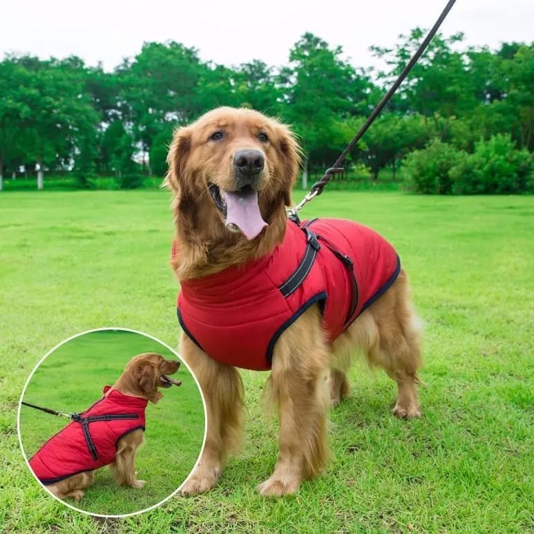 Wasserdichter Hundemantel–Wintermantel Beschreibung 5 Wasserdichter Hundemantel–Wintermantel Beschreibung 5