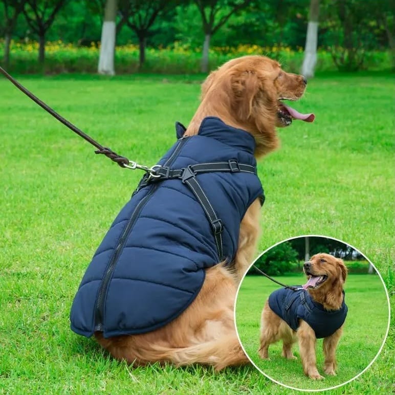 Wasserdichter Hundemantel–Wintermantel Beschreibung 6 Wasserdichter Hundemantel–Wintermantel Beschreibung 6